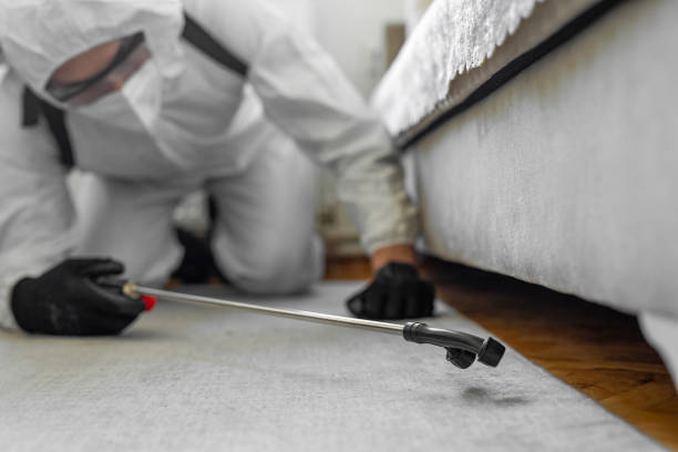 Professional Bed Bug Control technician working in Hillsdale, MI