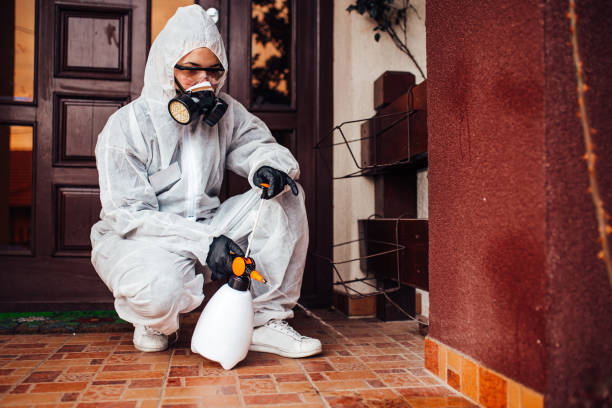 Reliable Bed Bug Control contractor in Hillsdale, MI by Nex Pest Control